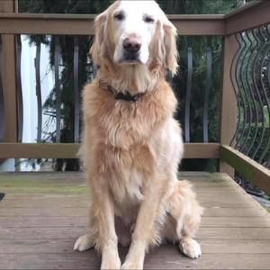 Meet your Posher, Sue